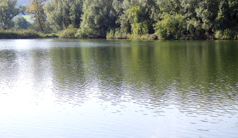 baldeggersee