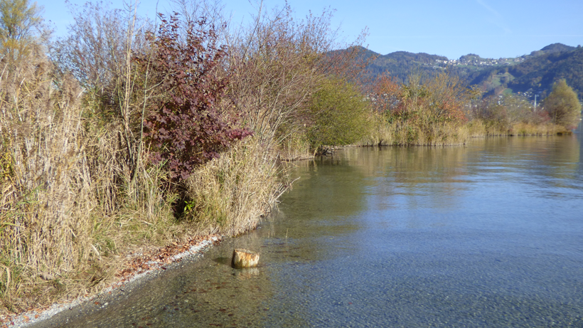 schadau