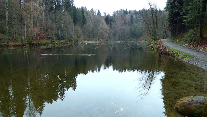 steinhauser-waldsee