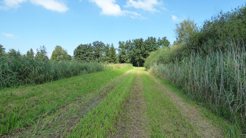 wauwilermoos