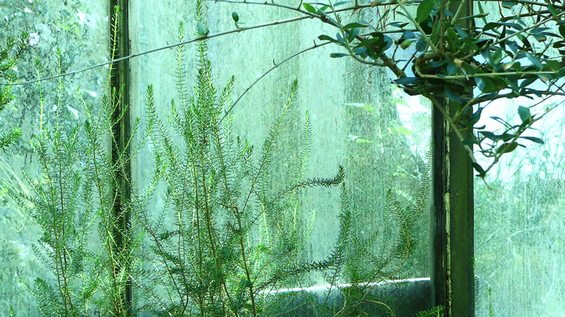 botanischer-garten-bern-03