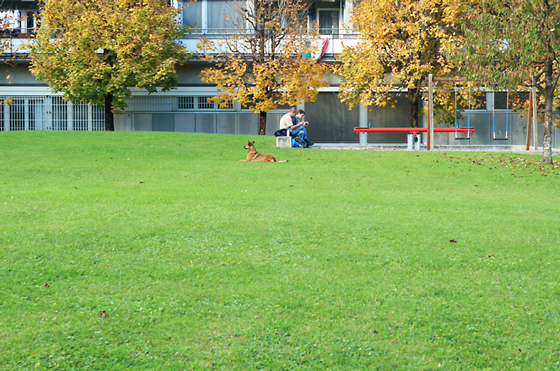 ruopigen_freiflaechen