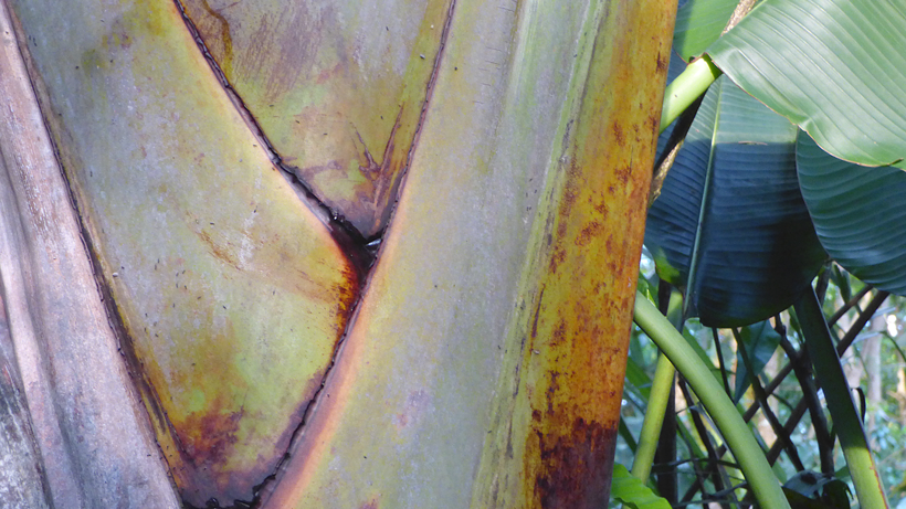 zuerich-masualahalle